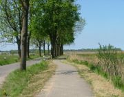 Radweg.jpg